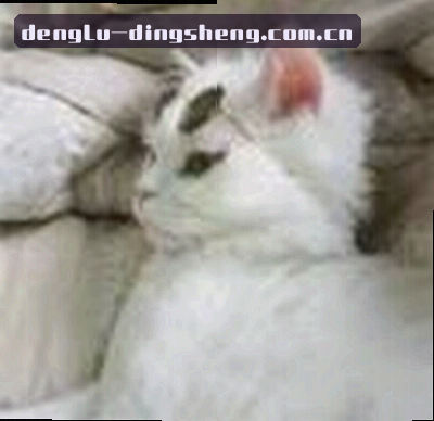 林姐